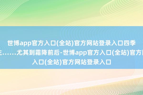 世博app官方入口(全站)官方网站登录入口四季景色宜东谈主……尤其到霜降前后-世博app官方入口(全站)官方网站登录入口