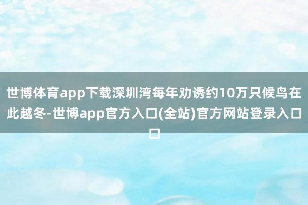 世博体育app下载深圳湾每年劝诱约10万只候鸟在此越冬-世博app官方入口(全站)官方网站登录入口