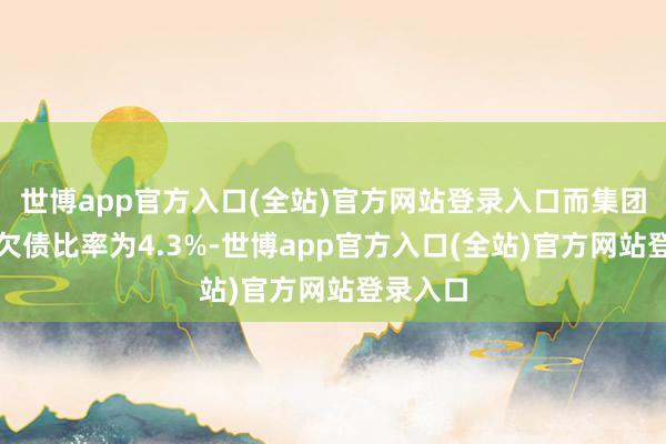 世博app官方入口(全站)官方网站登录入口而集团的钞票欠债比率为4.3%-世博app官方入口(全站)官方网站登录入口