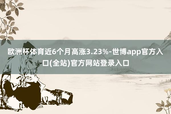 欧洲杯体育近6个月高涨3.23%-世博app官方入口(全站)官方网站登录入口