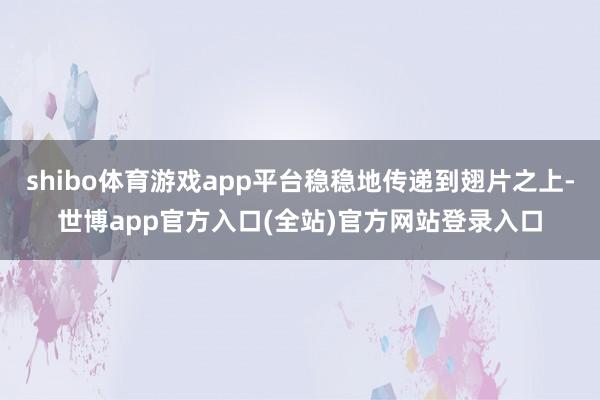 shibo体育游戏app平台稳稳地传递到翅片之上-世博app官方入口(全站)官方网站登录入口
