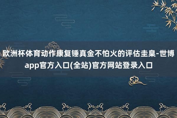 欧洲杯体育动作康复锤真金不怕火的评估圭臬-世博app官方入口(全站)官方网站登录入口